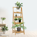 Ladder Shelf in Bamboo and Cane in Bamboo and Cane