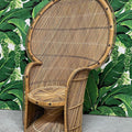 Peacock Chair with a Fan Back in Black Stained Rattan