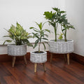 Set of Three Plant Stands at Different Heights in Seagrass