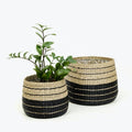 Woven Floor Planter 400mm with a Liner in Seagrass