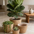 Woven Floor Planter 500mm with a Liner in Seagrass
